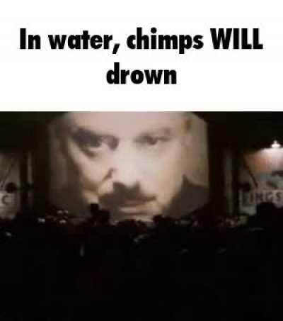 chimp swim for the sea banana