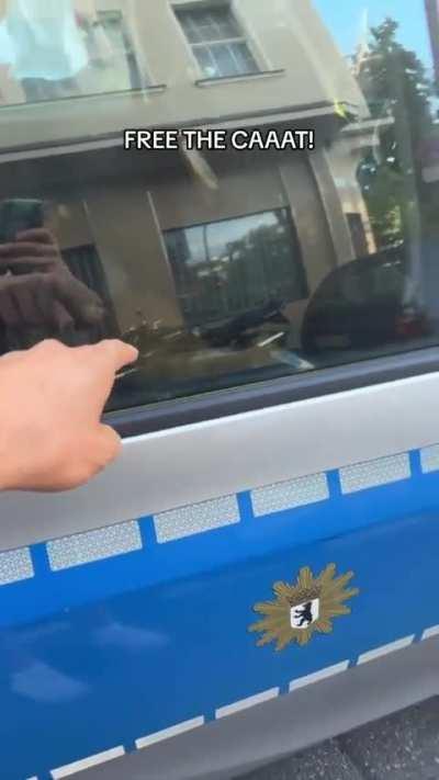 o que o gatinho fez?