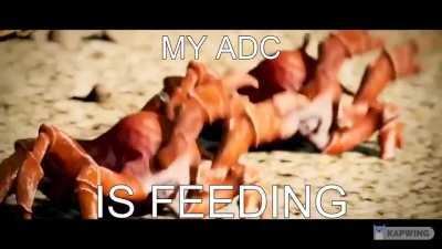 🦀🦀🦀🦀🦀🦀