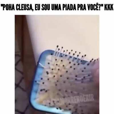 (Créditos no vídeo, insta) lembrei do gatinho kkkk🍊🍊