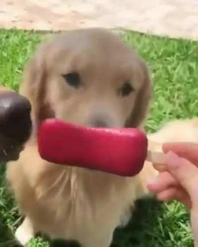 It’s always the quiet ones.