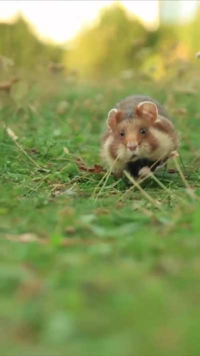 Hope this makes your day a little better. 