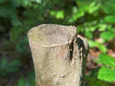 I’ve got to say, I’m stumped...