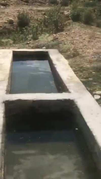 alın size raw parkour