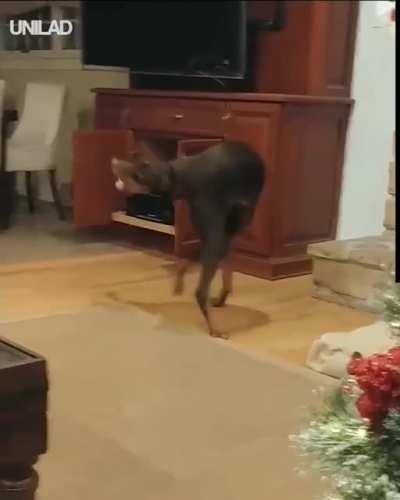 What are you trying?