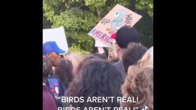 ‘Birds Aren’t Real’ Protest in NYC