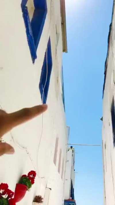 A different way to stroll around the streets of Bodrum