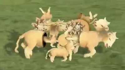 Thanks, I hate everything about this video