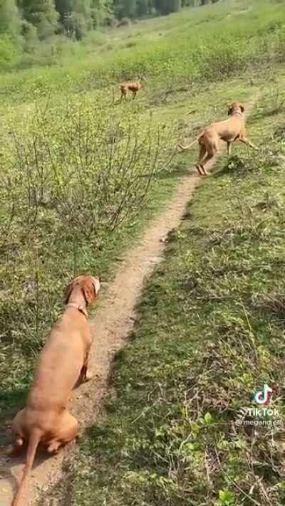 This creeps me out...