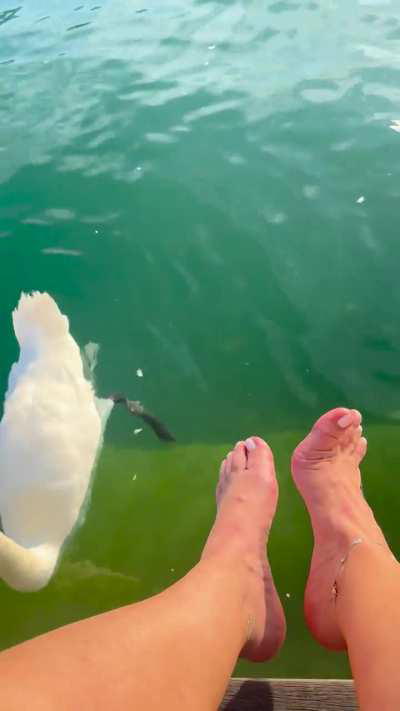 The beauty of nature… and feet! 