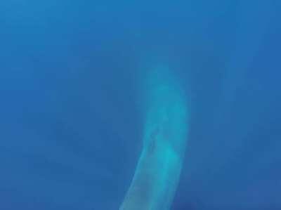 Look before you tread underwater