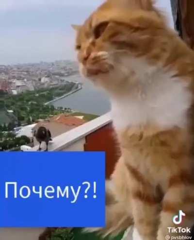 Когда выложил резюме для поиска работы