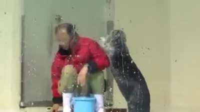 Steve really wants his fish