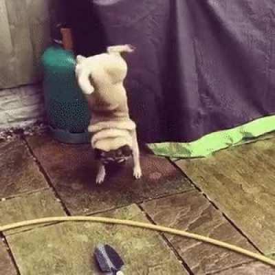 What’s going on here?