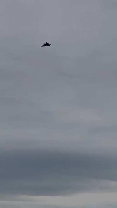 Not the best quality but it’s always a good day when I can see my favorite fly! 