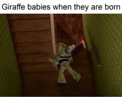 FALSE! Giraffes do not exist’