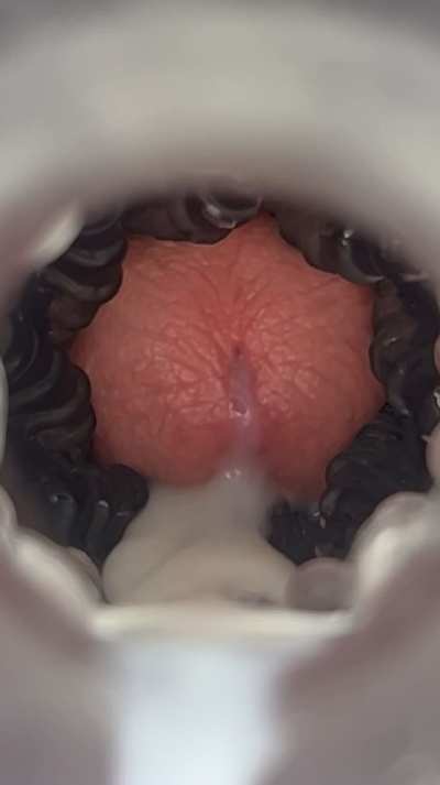 Was milked absolutely dry