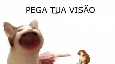 Cabeça de Lagartixa Malasiática