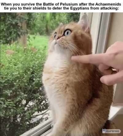 'Mittens? You OK, buddy? Did you have fun at the battle?'