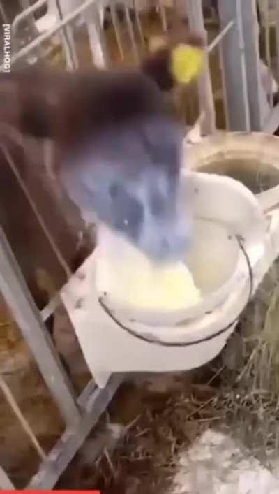 Chug, Breathe, Repeat.