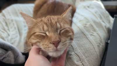 I think I found the spot 🧡