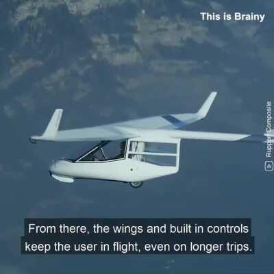 Is it a bird? Is it a plane?