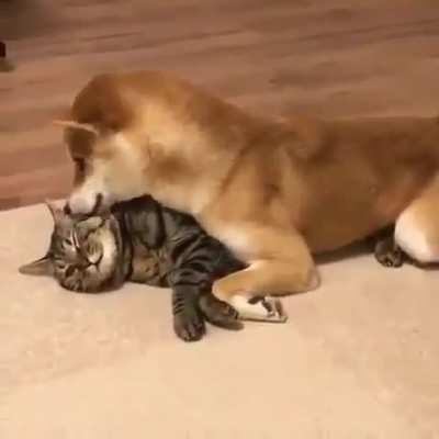 A Pure Connection...