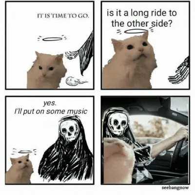 An enjoyable ride at least