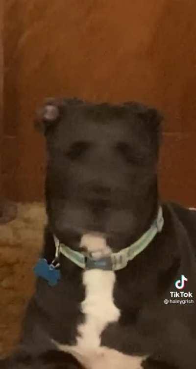 Whhherrrres hee at...Where is he at?