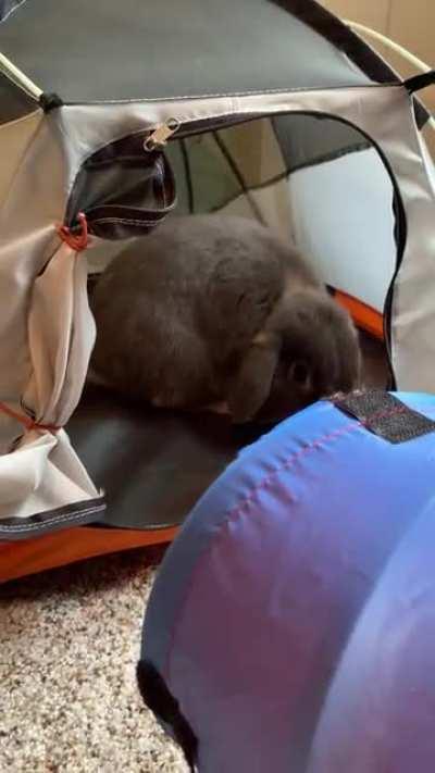 Gary: let me give you a tour of my Marmot tent