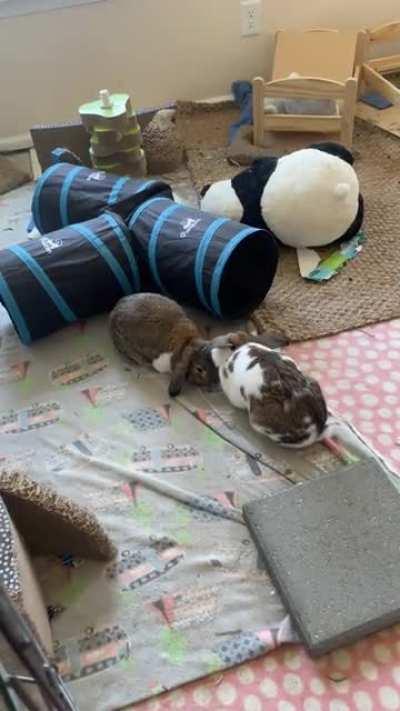 Kisses for the misses