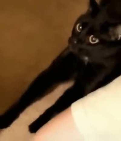 What the hell is that?!?