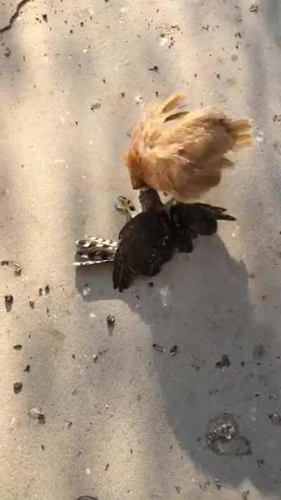 I thought this belongs here.