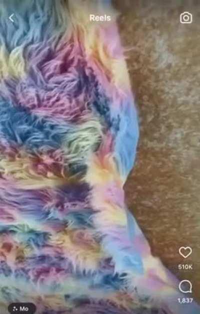 Pimp your ride in furry fabric