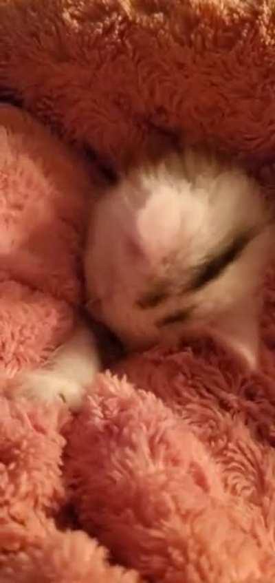 Waited 33 years for her and she's just Perfect 🥺