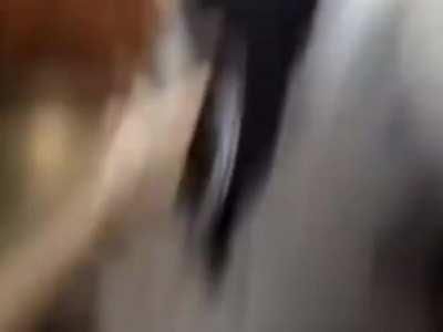 Elige una carta lqdqlslq