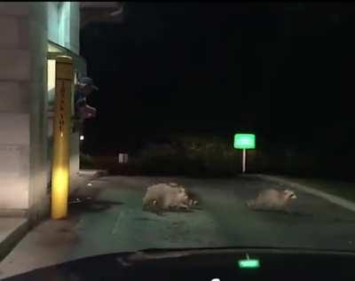 Meanwhile, at the Drive-Thru...