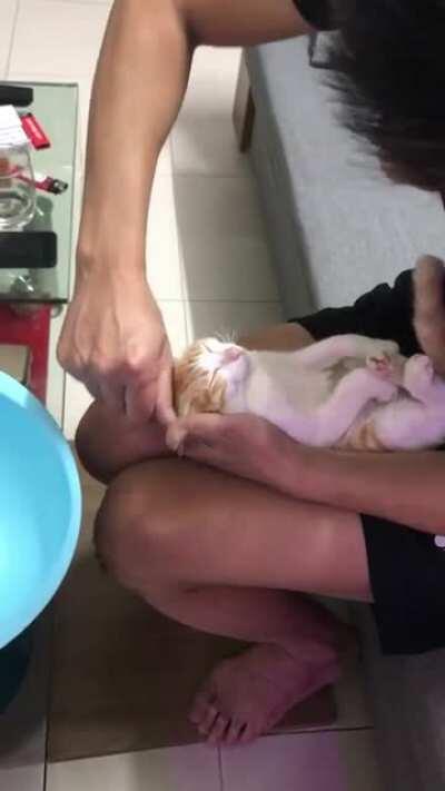 Grandpa teaches how to bathe a baby. Guess who's his voluntary assistant.