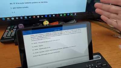 This little pos wants to destroy everything. But I love him anyway