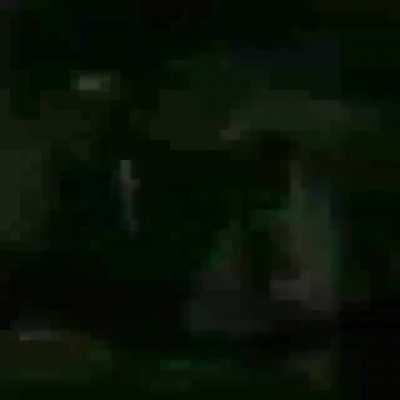 Osama’s song kinda fire tho