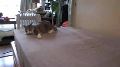 This one stilll need some work