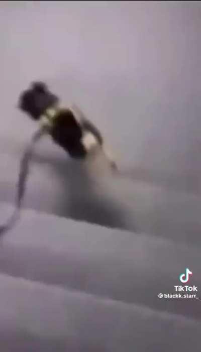 My body took a screenshot