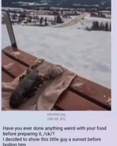 shitpostbutbeter - Video #2121