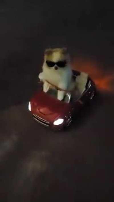 snoop dog coming through