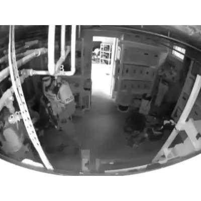 Мастер камуфляжа