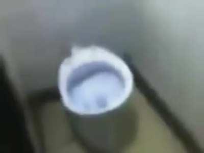 El inodoro que habla