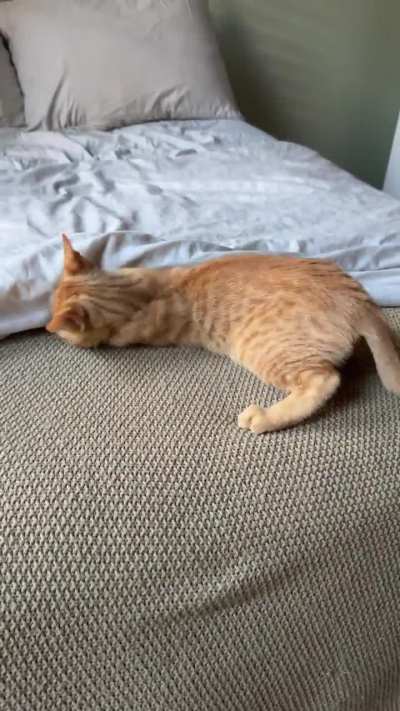 they’re in the bed!