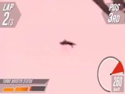 Chaotic dog meets snow