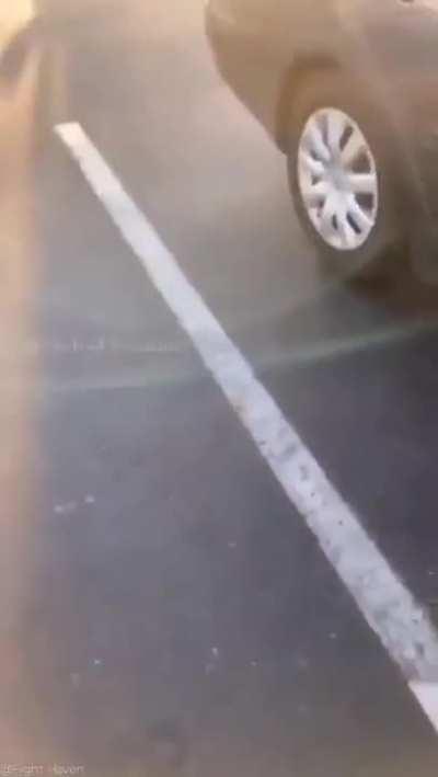 Crazy Karen starts talking smack for no reason, attacks, and than gets dealt with for doing so