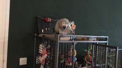 Forced updates always start at inconvenient times.